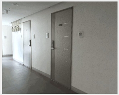  2025Ÿ��8728  ���ǽ��ڰ��