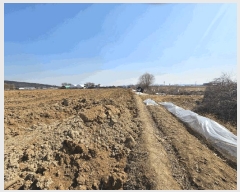  2025Ÿ8739   ص 29-2       ()