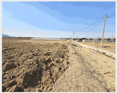  2025Ÿ8739   ص 29-2       ()