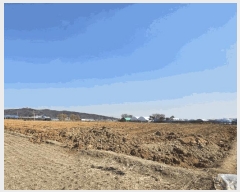  2025Ÿ8739   ص 29-2       ()