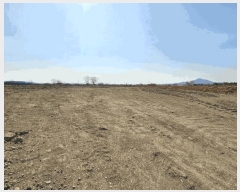  2025Ÿ8739   ص 29-2       ()