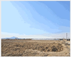  2025Ÿ8739   ص 29-2       ()