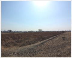  2025Ÿ8739   ص 29-2       ()