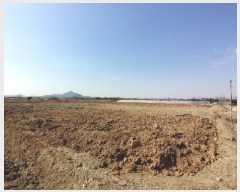  2025Ÿ8739   ص 29-2       ()