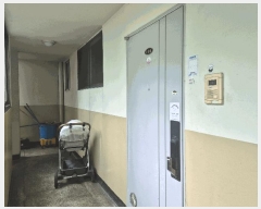  2025Ÿ��11259  ����Ʈ���