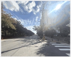  2025Ÿ��12799 ���� ���α� ���ε� 106-2 �븲������ť ��3�� ��314ȣ    ���ǽ��ڰ��