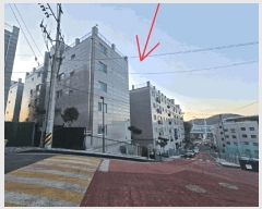  2025Ÿ��6186  �ټ���(����)���