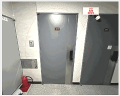  2025Ÿ��7509  �ټ���(����)���