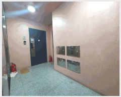  2025Ÿ8315   ȭ 916-7 ǽ 4 402ȣ    ǽڰ