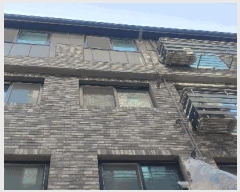  2025Ÿ��8384  �ټ���(����)���