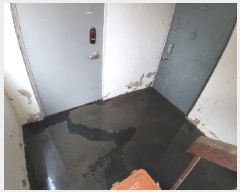  2025Ÿ��9111 ���� ������ ȭ� 409-207 �������� ����ȣ     �ټ���,������