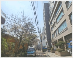  2025Ÿ��9115 ���� ������ ȭ� 981-5 �ؽ�Ƽ  ��2�� ��203ȣ   ���ǽ��ڰ��