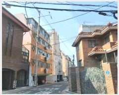  2025Ÿ��9128  �ټ���(����)���