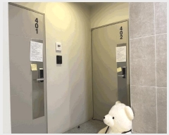  2025Ÿ��9151  �ټ���(����)���