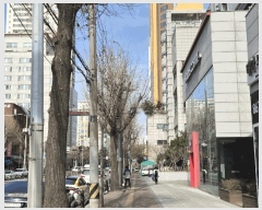  2025Ÿ��9266  ���ǽ��ڰ��