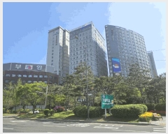  2025Ÿ��9575  ���ǽ��ڰ��