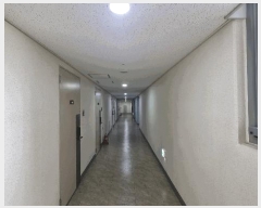  2025Ÿ��9626  ���ǽ��ڰ��