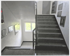  2025Ÿ��9638  �ټ���(����)���