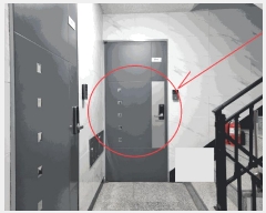  2025Ÿ��9962  �ټ���(����)���