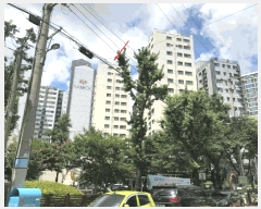  2025Ÿ��10825  ���ǽ��ڰ��