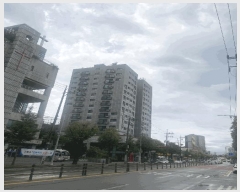  2025Ÿ��10855  ���ǽ��ڰ��