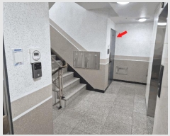  2025Ÿ��11036  �ټ���(����)���