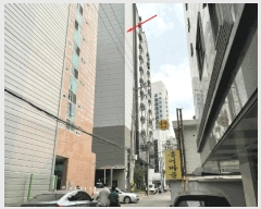  2025Ÿ��11040  �ټ���(����)���