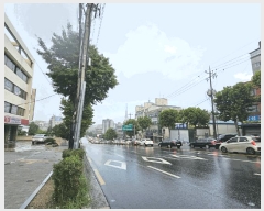  2025Ÿ��11165  ���ǽ��ڰ��