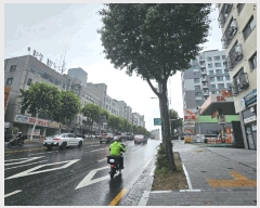  2025Ÿ��11165  ���ǽ��ڰ��