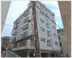  2025Ÿ��11253  �ټ���(����)���