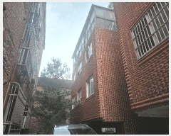  2025Ÿ��11519  �ټ���(����)���