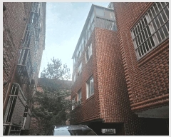  2025Ÿ��11519  �ټ���(����)���