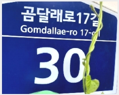  2025Ÿ��11583  �ټ���(����)���