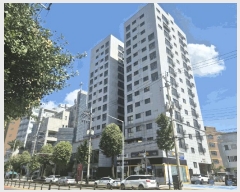  2025Ÿ��11591  ���ǽ��ڰ��