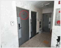  2025Ÿ��11942  �ټ���(����)���