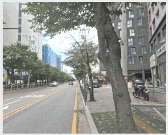  2025Ÿ��12241  ���ǽ��ڰ��