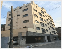  2025Ÿ��12246 ���� ���α� ������ 141-53 ������  ��5�� ��501ȣ   �ټ���,������