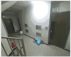  2025Ÿ��12555  �ټ���(����)���