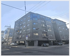  2025Ÿ8471  õ  955-26 ũ7 5 501ȣ    ټ,