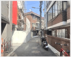  2025Ÿ8789    247-37       ()