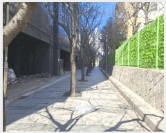  2025Ÿ��9188 ���� ���α� ���ε� 685-201 �����������۽�Ʈ���̾ص� ��101�� ��16�� ��1604ȣ   ���ǽ��ڰ��