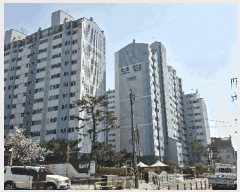  2025Ÿ��9418 ���� ������ ȭ� 1149 ȭ�������Ʈ ��1001�� ��8�� ��806ȣ   ����Ʈ���