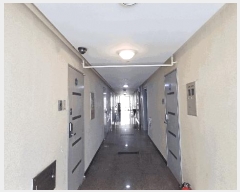  2025Ÿ��11353  ��������Ȱ���ð��