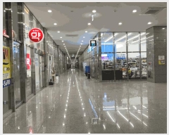  2025Ÿ369  õ 굿 219-5 ׶Ÿ 9937ȣ     Ʈ