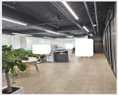  2025Ÿ��548  ����Ʈ��������