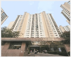  2025Ÿ��737  ����Ʈ���