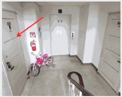  2025Ÿ8698   ȭ 1148 ԵƮ 101 6 603ȣ   Ʈ