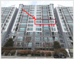  2025Ÿ8698   ȭ 1148 ԵƮ 101 6 603ȣ   Ʈ