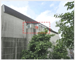  2025Ÿ��9982  �ټ���(����)���