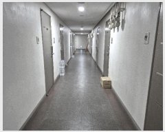  2025Ÿ��11695  ��������Ȱ���ð��